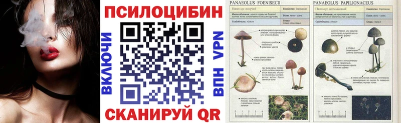 продажа наркотиков  Осинники  нарко площадка официальный сайт  Галлюциногенные грибы Cubensis  kraken вход 